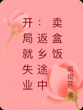 开局就失业：返乡途中卖盒饭