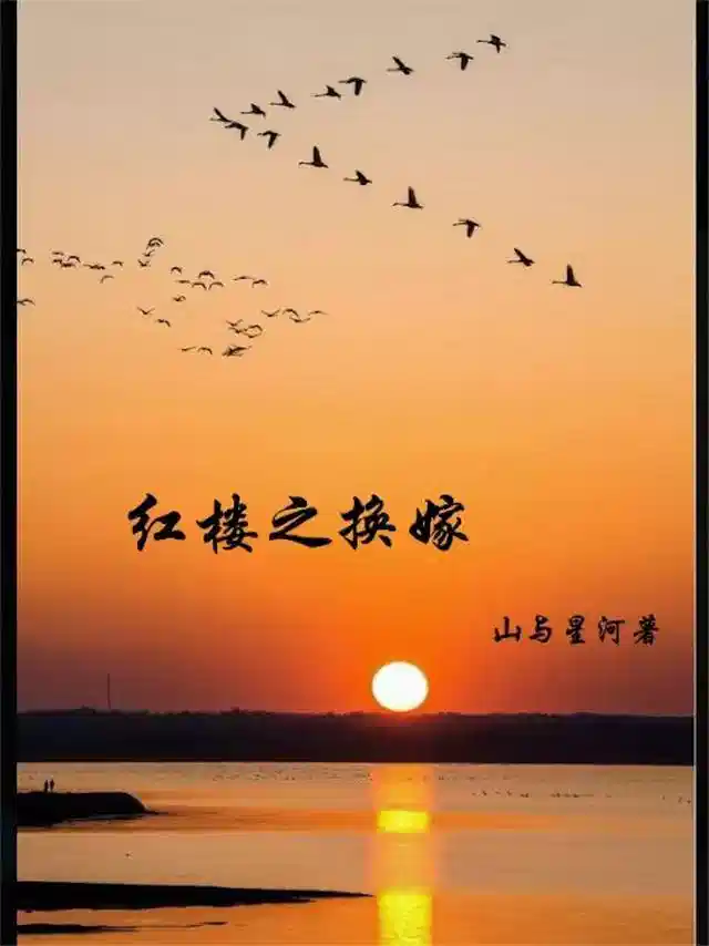 红楼之换嫁